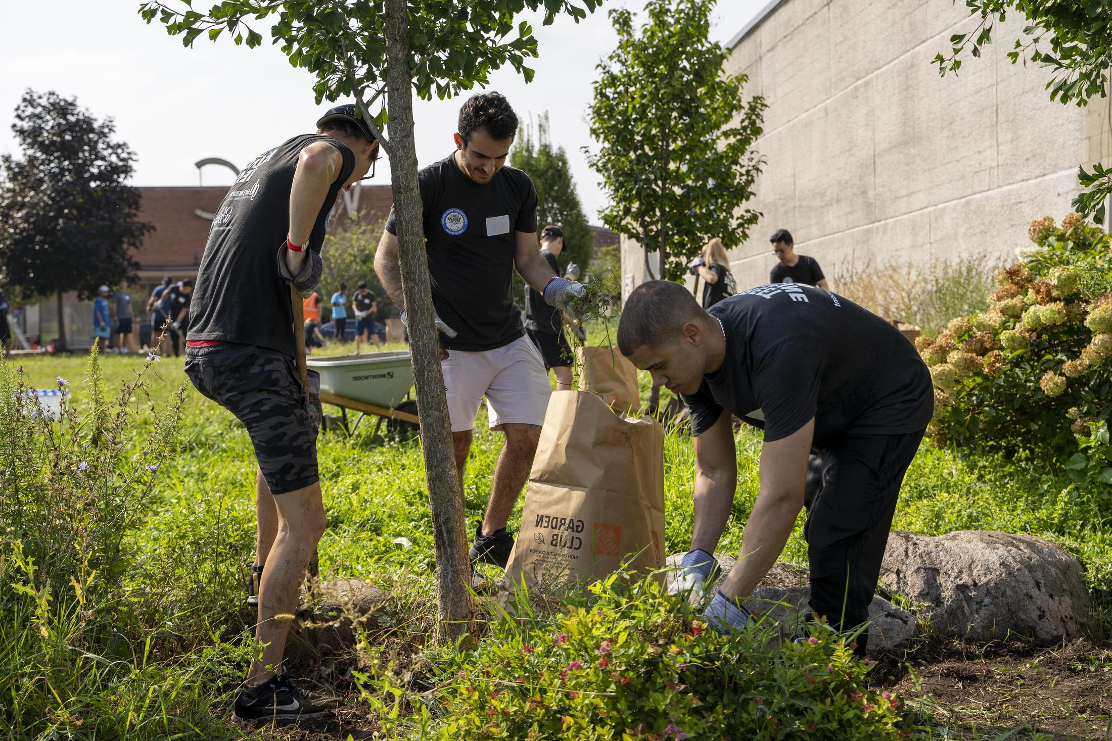 Street Med Clean Up 1